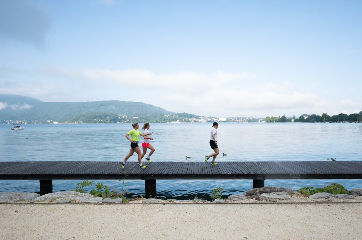 Mongoose Agency tweet media