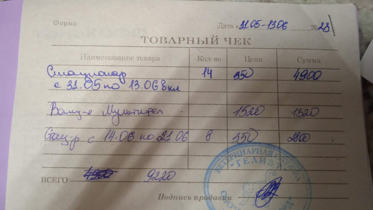 странствующий маг-барахольщик tweet media
