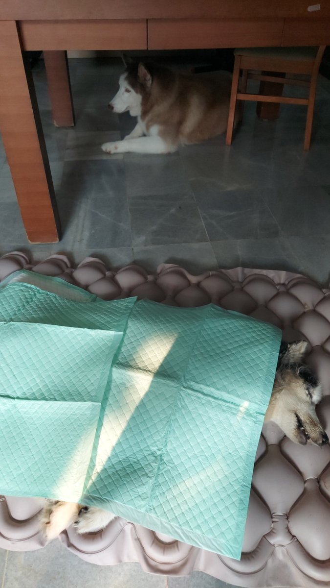 TradingSambilMimpi tweet media