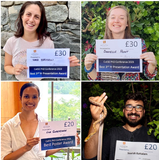 BangorSENS's tweet photo. Let your imagination run wild @BangorUni Our #PhD students studied such a diverse range of subjects inc. a prehistoric forest in Wrexham, nuclear thermal hydraulics, antimicrobial resistance, micro &amp; macro plastic pollution, sea snails, bumble bees, farming landscapes in Malawi! https://t.co/FBVtAIReEX