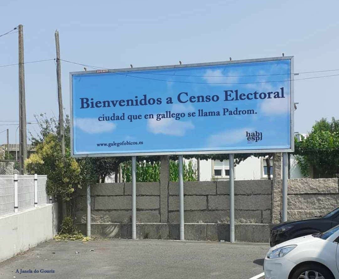 Kiko Novoa tweet media