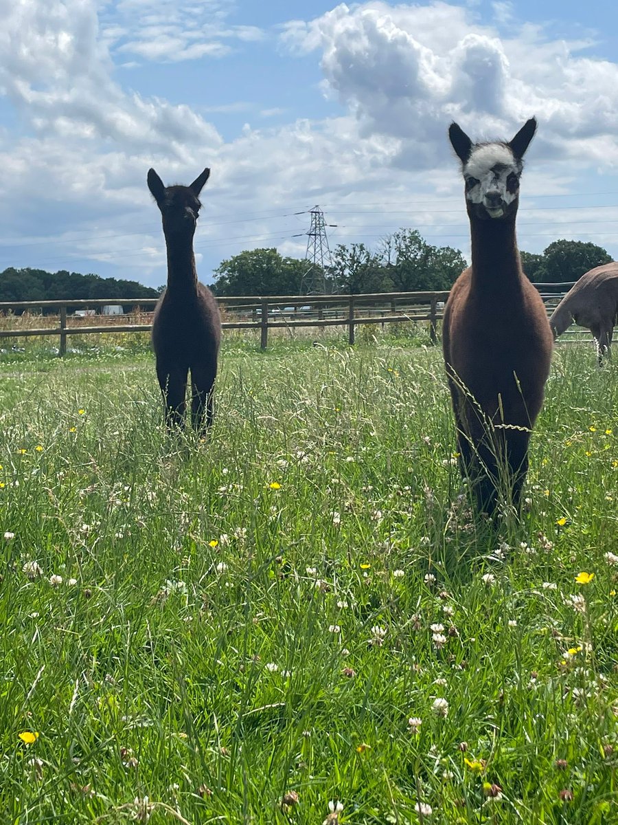 Riverside Education tweet media