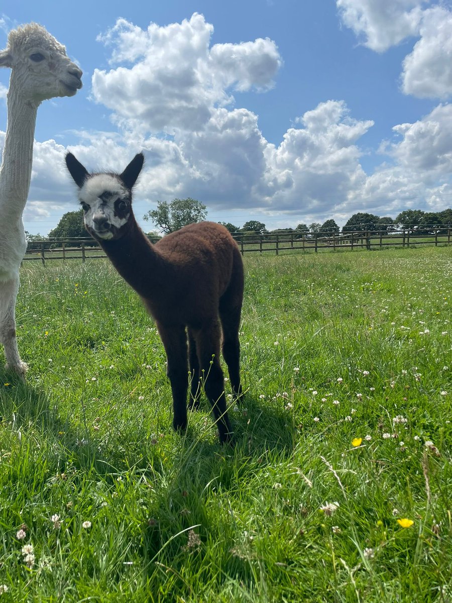 Riverside Education tweet media