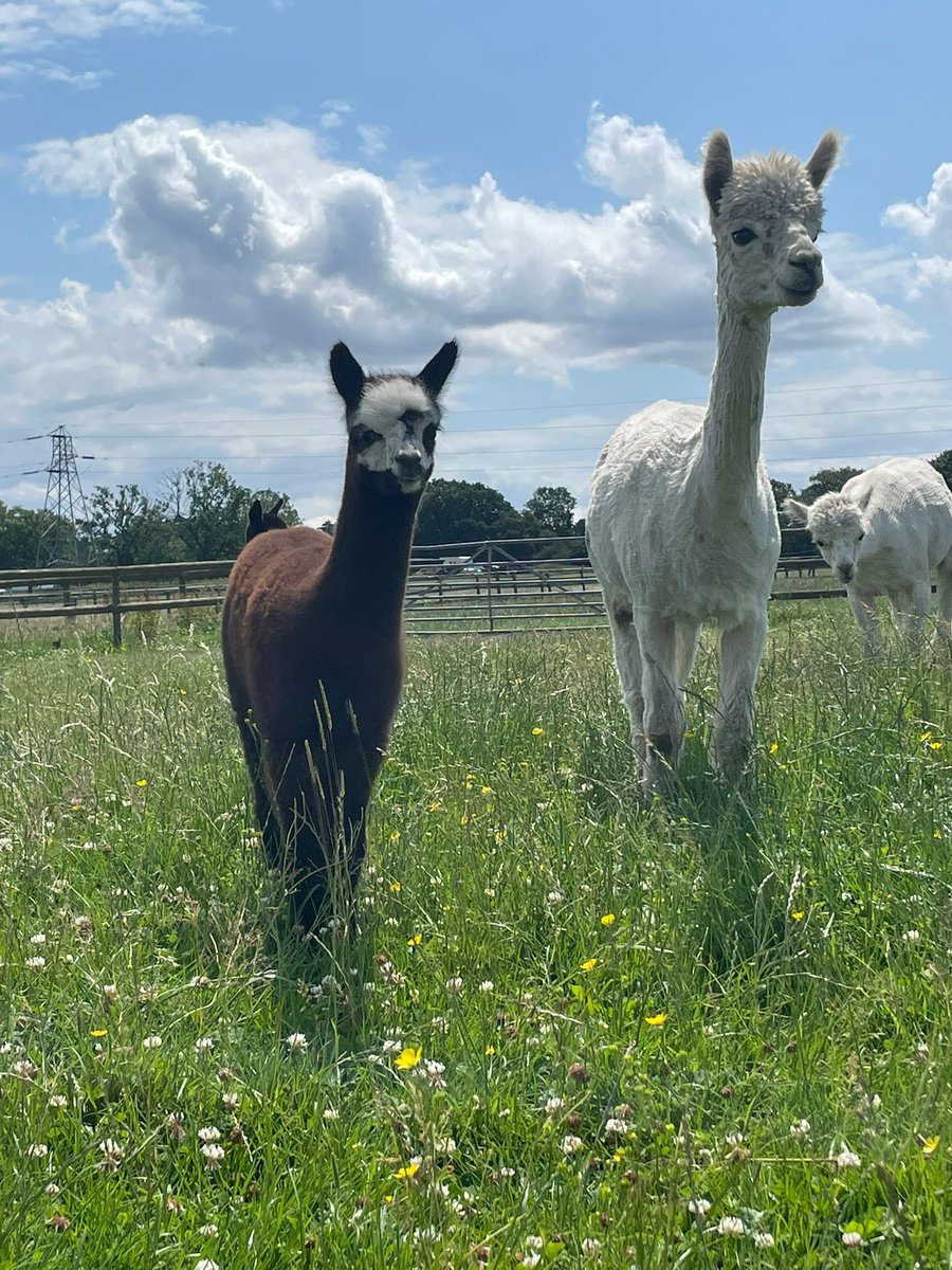 Riverside Education tweet media