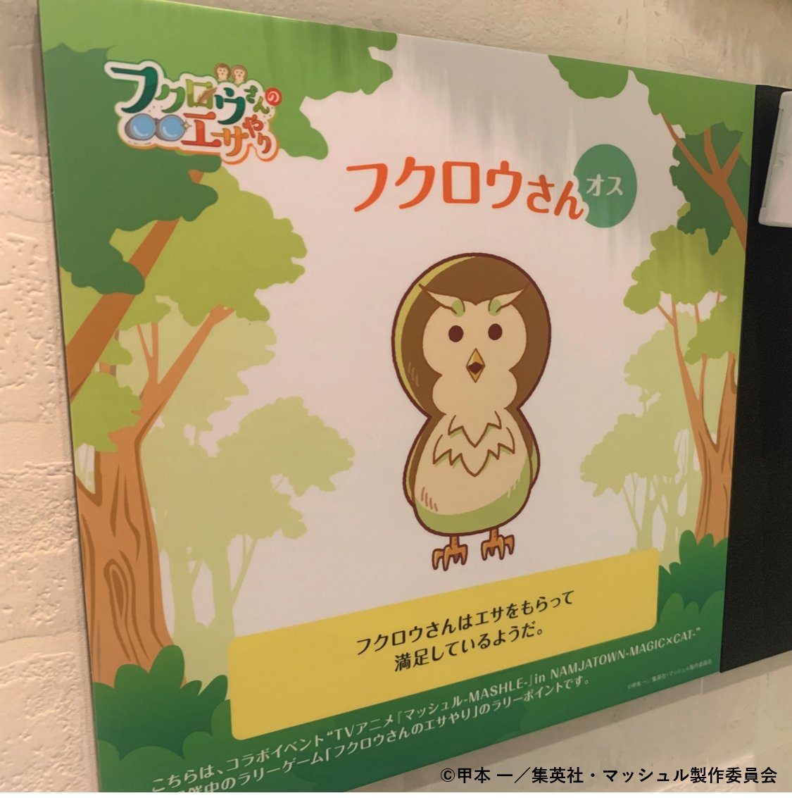 TVアニメ『マッシュル-MASHLE-』in NAMJATOWN-MAGIC×CAT-／ ラリー