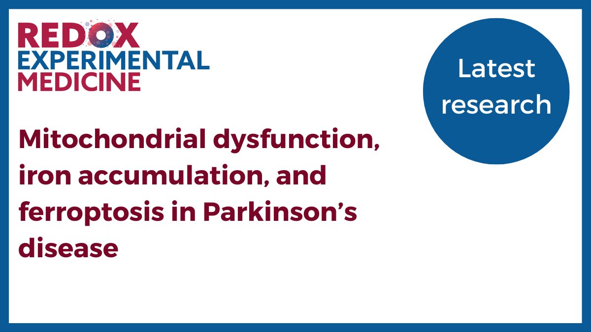 Parkinson’s disease is the second most common neurodegenerative disease. Nahom Teferi et al. explore #mitochondrialdysfunction, iron accumulation, and ferroptosis in #Parkinson’s, discussing the potential intersections of the disease mechanisms ➡️ow.ly/347A50P1bhT