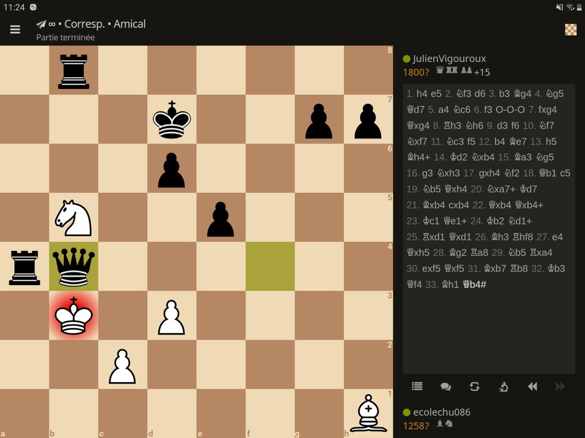 Fin d'une partie très sympathique!
Merci @CMLachaudCur et merci <a href="/QuotiChess/">QuotiChess 🐘</a>