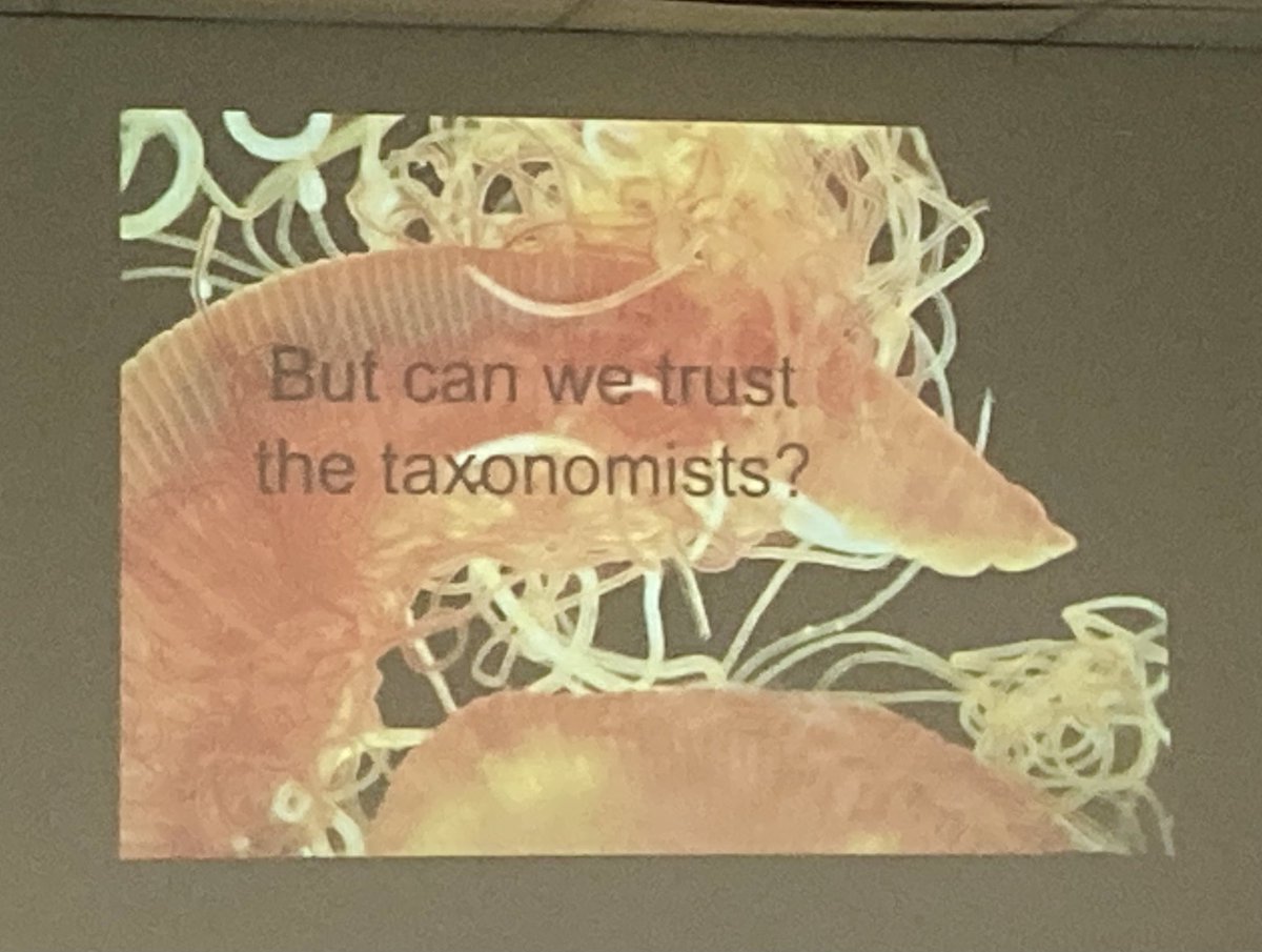 KatieMortimerJ1's tweet photo. The Taxonomic Dilemma - can we trust the taxonomists? Fascinating talk from @Exogone1 at the #IPC14 Polychaete Identification Course highlighting the need to use the correct literature for the right region and the need for more taxonomists https://t.co/MTouD0nXTl
