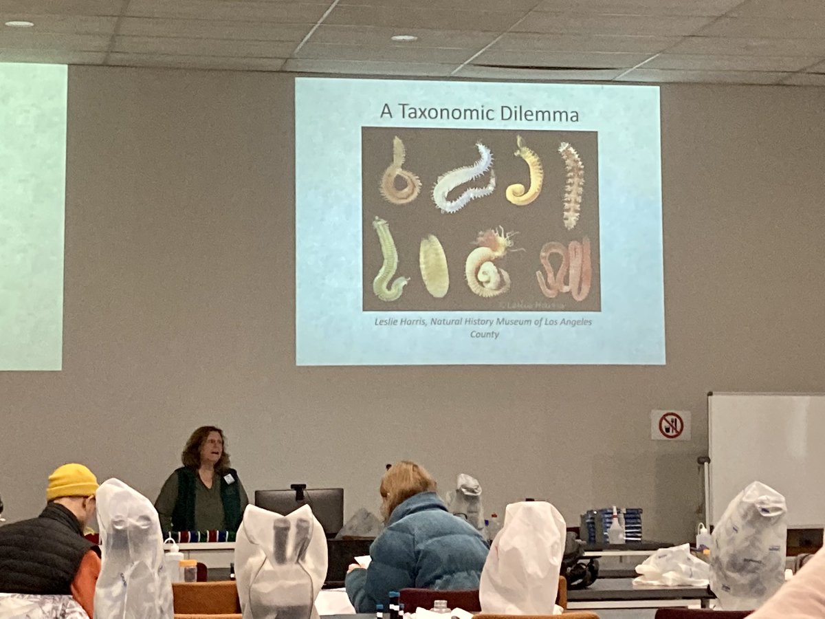 KatieMortimerJ1's tweet photo. The Taxonomic Dilemma - can we trust the taxonomists? Fascinating talk from @Exogone1 at the #IPC14 Polychaete Identification Course highlighting the need to use the correct literature for the right region and the need for more taxonomists https://t.co/MTouD0nXTl