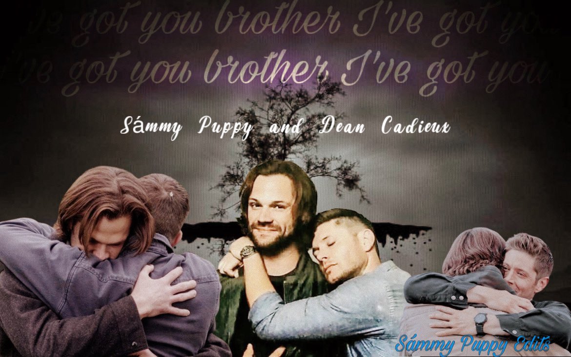 Sámmy Puppy tweet media