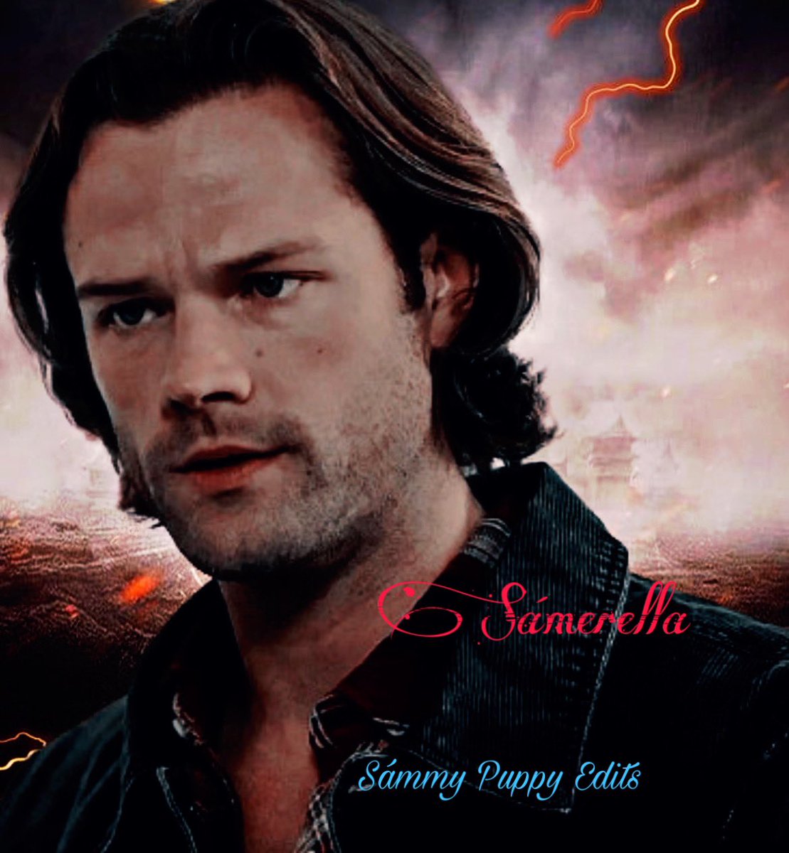 Sámmy Puppy tweet media