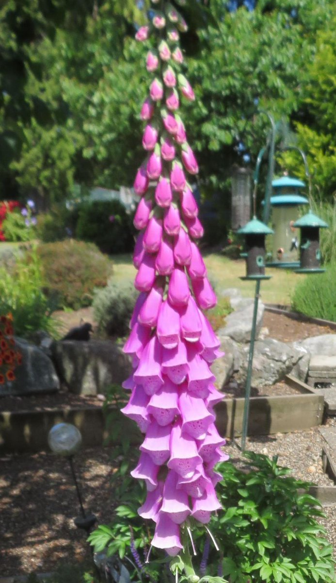 "Sometimes the most urgent thing you can possibly do is take a complete rest." ~ Ashleigh Brilliant.  A My Daily Minute about rest as we begin a long weekend in Canada! conta.cc/44os0lr
conta.cc/46Hh2d1