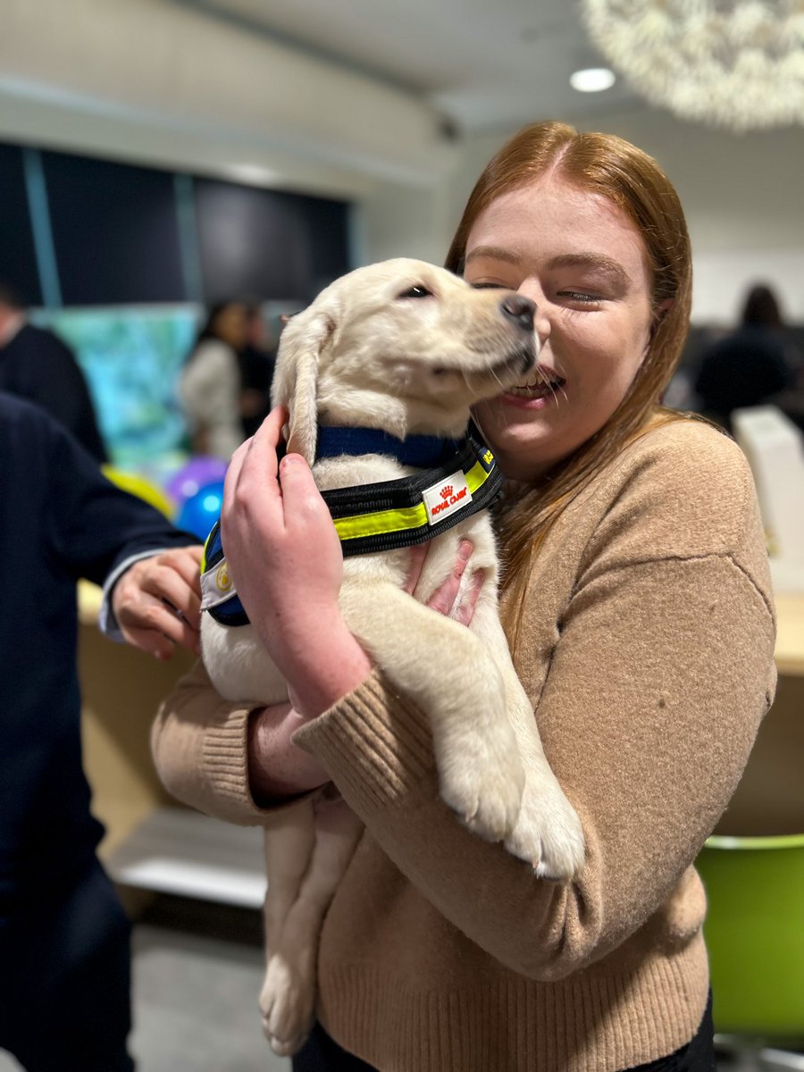 ptxperalta's tweet photo. This week consisted of seeing eye dog puppies and securing Taylor Swift tickets. I am almost as excited to see Sabrina carpenter in concert 😭 https://t.co/lNlvT0Db8W