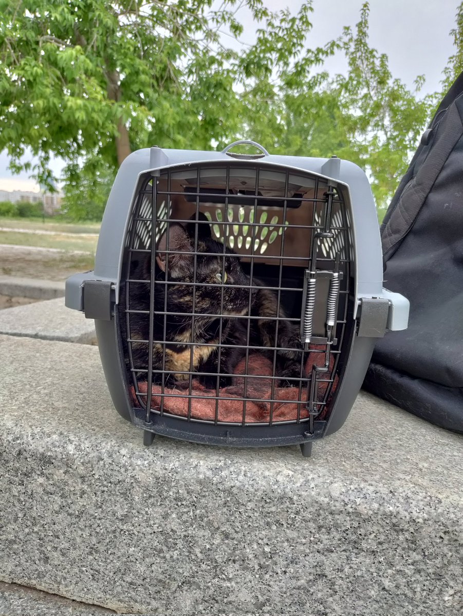 ХмурыйМонах tweet media