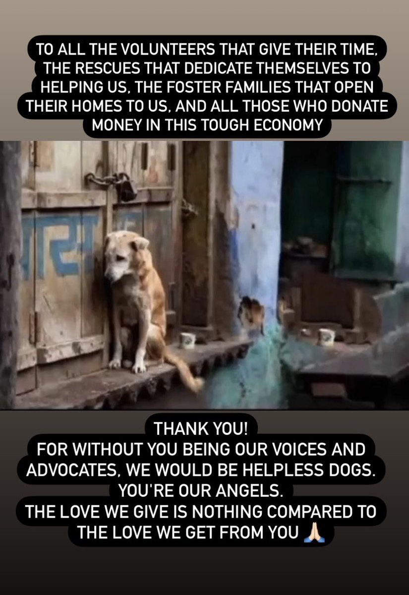 HelpingHandsahm's tweet photo. Thank you 🙏🏻 https://t.co/DcXHjzPM4C