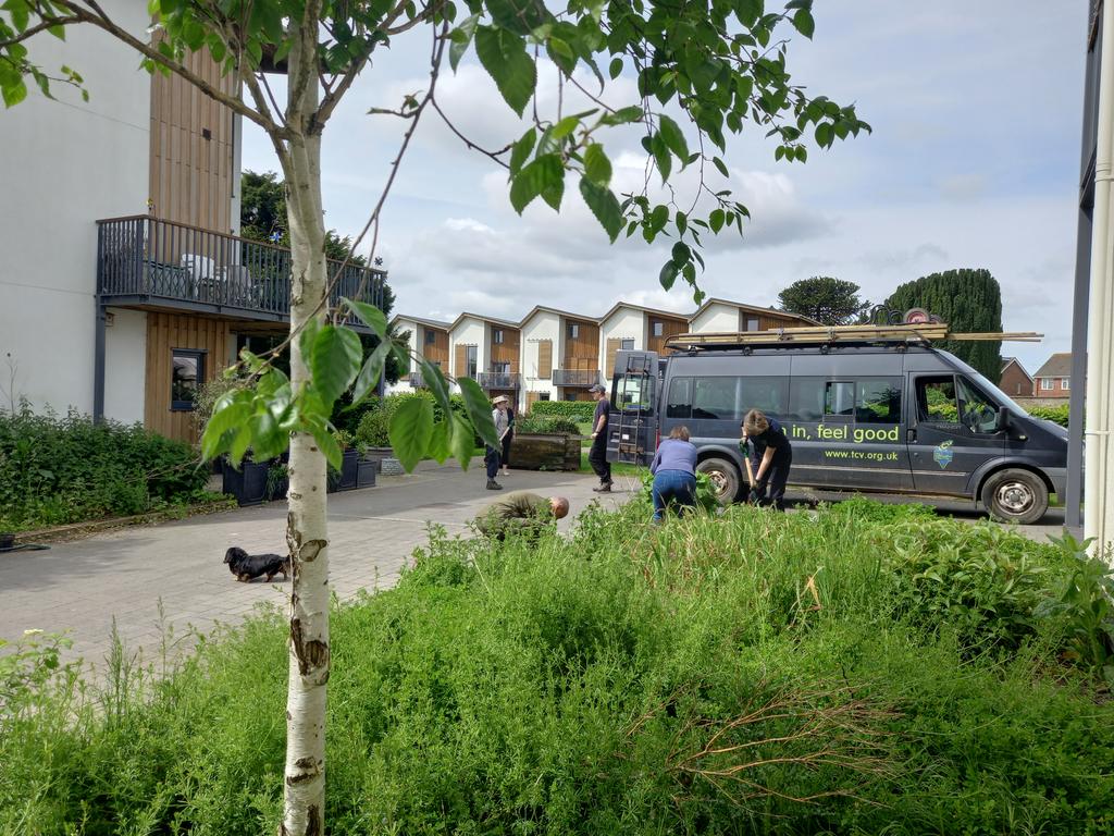 TCVBristol's tweet photo. Before and after at Hanham Hall. Nice one team! We'll be back in the not too distant future to add more sleepers to the raised beds, additional compost and to plant them up with a wonderful, diverse selection of pollinator friendly plants. @TCVtweets @HanhamHall #joininfeelgood https://t.co/Q7bHajXswr