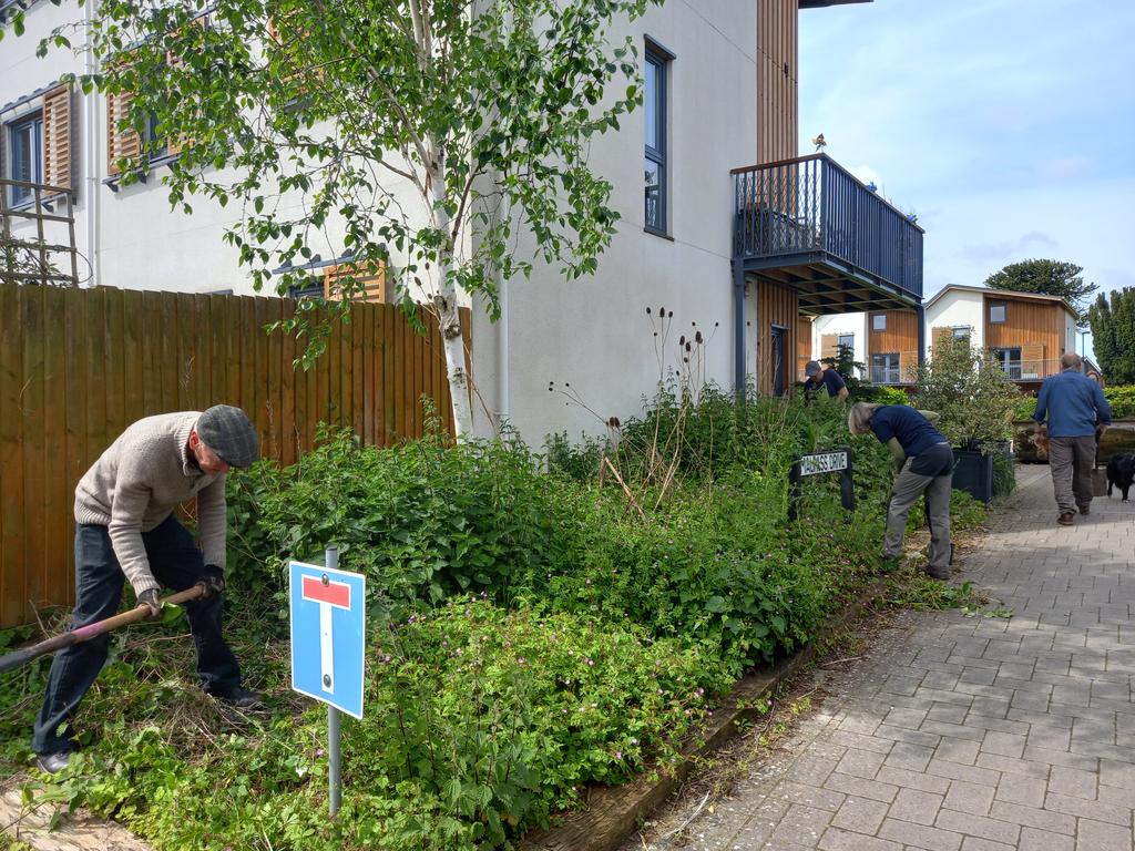 TCVBristol's tweet photo. Before and after at Hanham Hall. Nice one team! We'll be back in the not too distant future to add more sleepers to the raised beds, additional compost and to plant them up with a wonderful, diverse selection of pollinator friendly plants. @TCVtweets @HanhamHall #joininfeelgood https://t.co/Q7bHajXswr