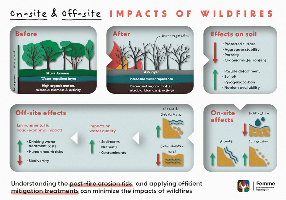 #DYK what happens to #soils after #wildfires?

Among others #postfire impacts affect #soilhealth, #waterquality, #biodiversity and can drive #flashfloods, #debrisflows, &amp; #landslides

This and other infographics on the #FEMME project web femme.web.ua.pt
#RoadtoSoilLaw