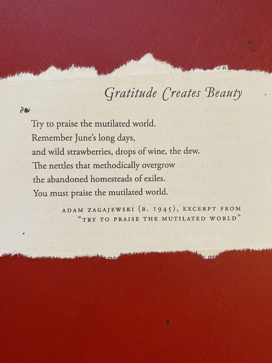 Diane Cameron (@dianeocameron) on Twitter photo 