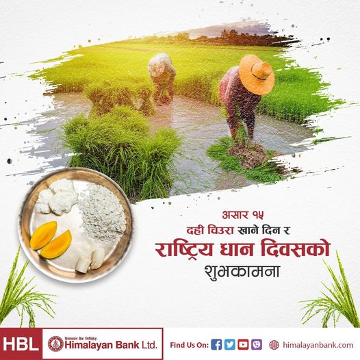 himalayanbanknp's tweet photo. दही चिउरा खाने दिन र धान दिवसको शुभकामना ।
#HimalayanBank #Asadh15 https://t.co/nYPuHe1xkD