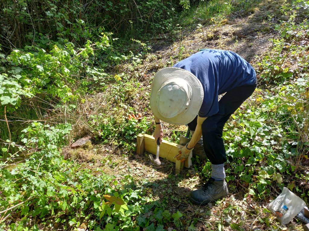 The middle to bottom batch path we are building at Midsomer Norton Park is really coming along. 😊👌 Thank you to all who have worked so hard on it so far. We're back next month to continue on so please join us if you can! <a href="/TCVtweets/">The Conservation Volunteers (TCV)</a> <a href="/norton_town/">Midsomer Norton Town Council</a>