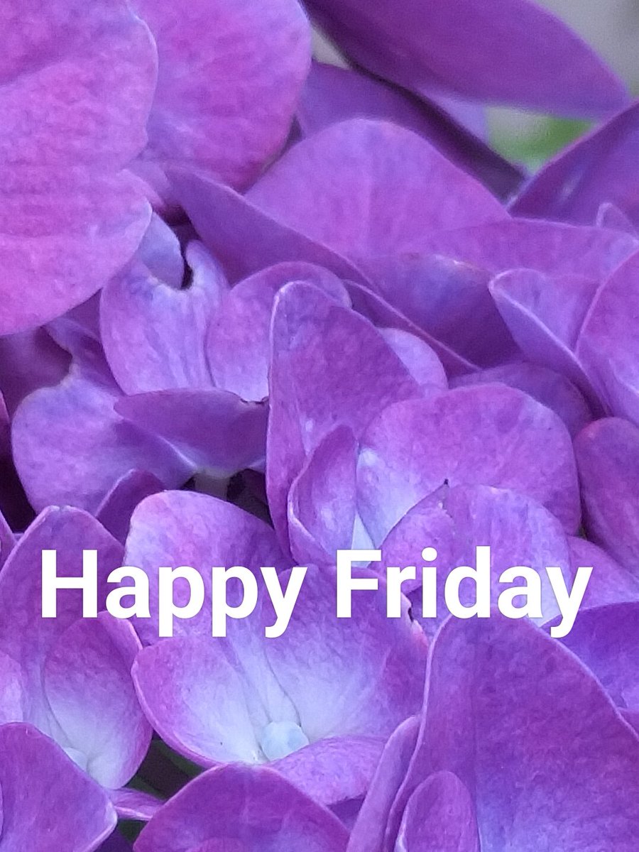 MichellePoet's tweet image. #happyweekendeveryone #happyweekendvibes #HappyNewMonth #haveagreatday #haveaniceday #HaveABlessedDay #blessed #blessedlife #bestwishes #beinspired #enjoy #enjoythemoment #enjoylife #liveyourbestlife #liveyourlife #liveyourdreams #liveyourpassion #liveyouradventure #FridayVibes