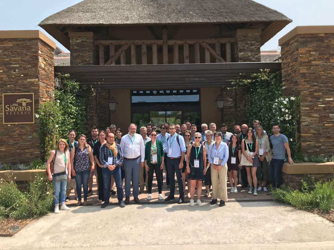 Paléopolis tweet media