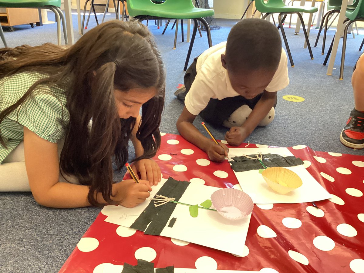 @Broadwoodschool loved creating flowers using different materials. They were then able to label different part. #primaryscience