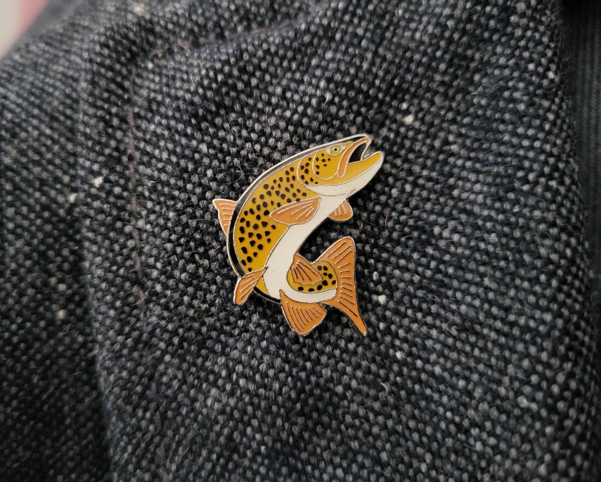 It was great to speak about the findings from our review on combined sewer overflows (CSOs) on Wednesday at the @ep_wales #EPWales #BetterWaterQuality event. And to remind me what it was all about, I was wearing my new brown trout #RSPBpins! #ShareHowYouWear 
📸: @JamesLofty2