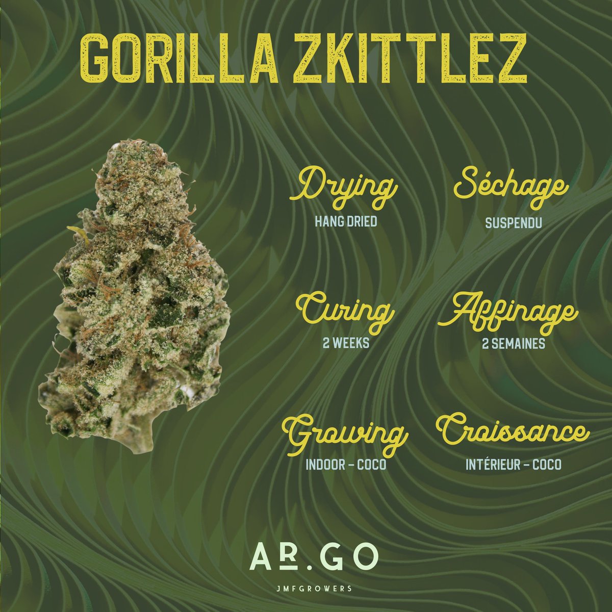 Our Gorilla Zkittlez is pretty groovy 💜🌱

#CannabisCommunity #cannabisculture #fridaymorning