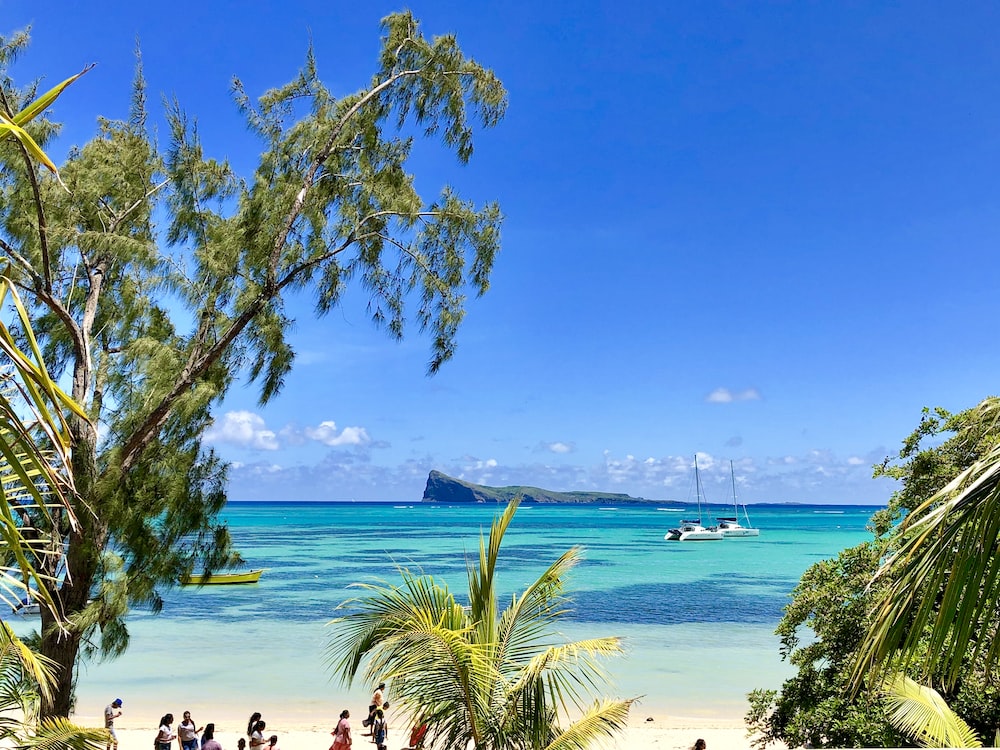 Mauritius Island tweet media