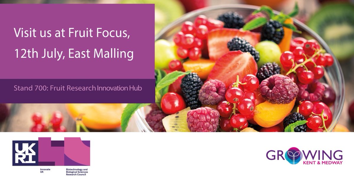Visit our Fruit Research Innovation Hub <a href="/FruitFocus/">Fruit Focus</a> w/ <a href="/BBSRC/">Biotechnology and Biological Sciences Research</a> &amp; <a href="/GrowingKent_Med/">Growing Kent & Medway</a> to learn how we’re supporting fruit research innovation

📆 12 July
📌 East Mailing

Projects displayed include:
🍐 @AEH_Hydrogel
🍐 <a href="/fotenixtech/">FOTENIX</a>
🍐 BigSis

More:
ow.ly/gJO750OXSyF