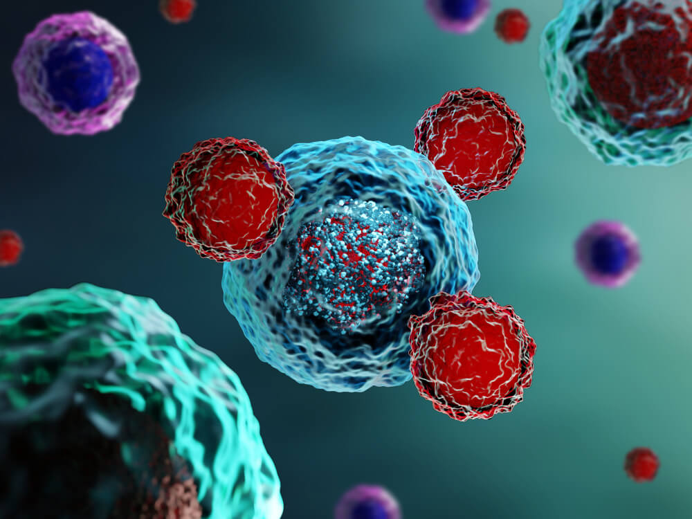 [communiqué de presse CRCT] Cancer : un mécanisme clé pour améliorer les immunothérapies identifié par une équipe toulousaine. Article publié dans le journal <a href="/ImmunityCP/">Immunity</a> par l'équipe GENIM du <a href="/crctoncopole/">CRCT-Oncopole</a> 
➡️crct-inserm.fr/cancer-un-meca…