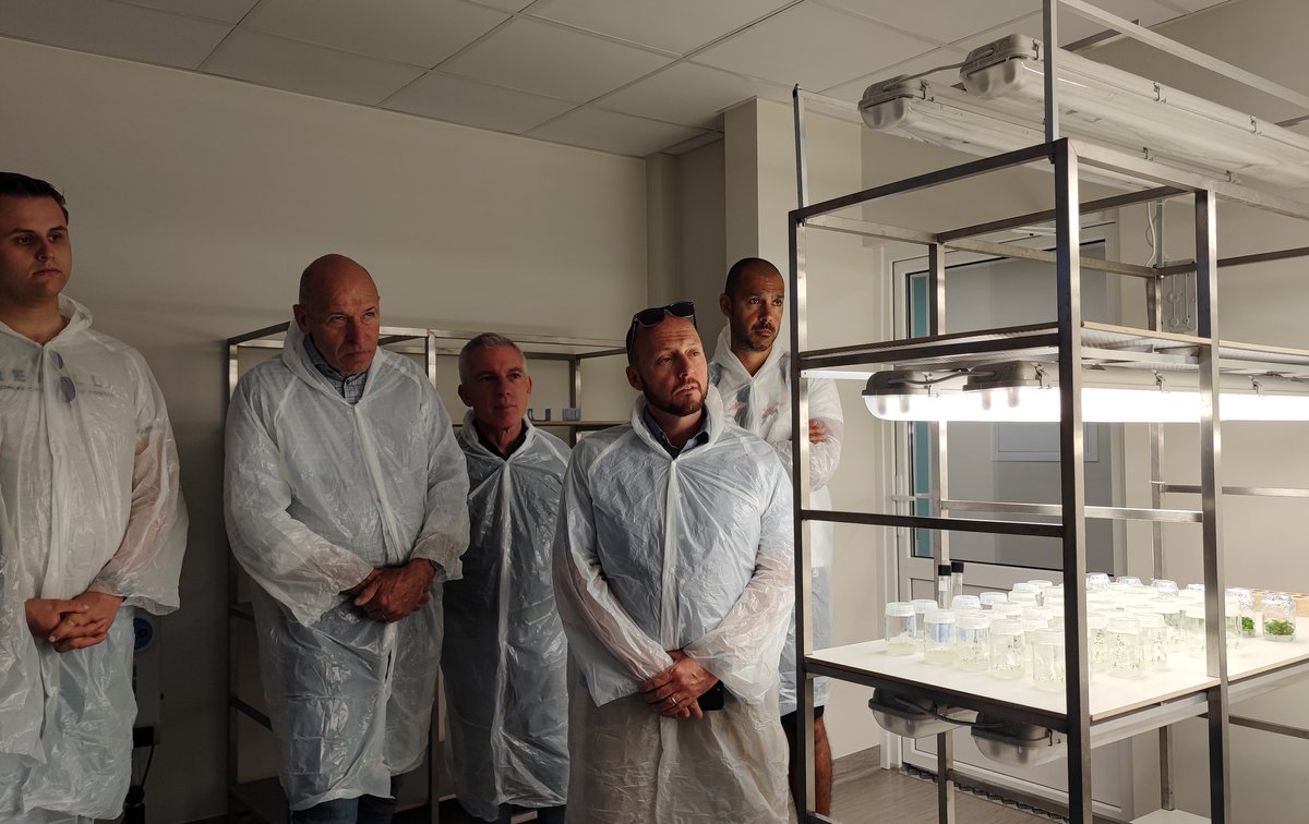 Manon_agri's tweet image. Day 2 of the @COPACOGECA WP on #Flowers &amp;amp; #OrnamentalPlants in 🇱🇻.
Visit of Bulduri Technical University where future horticulture technicians learn micropropagation of plant tissue cultures.
Students spend large part of their study time in labs and modern greenhouses ⬇️.