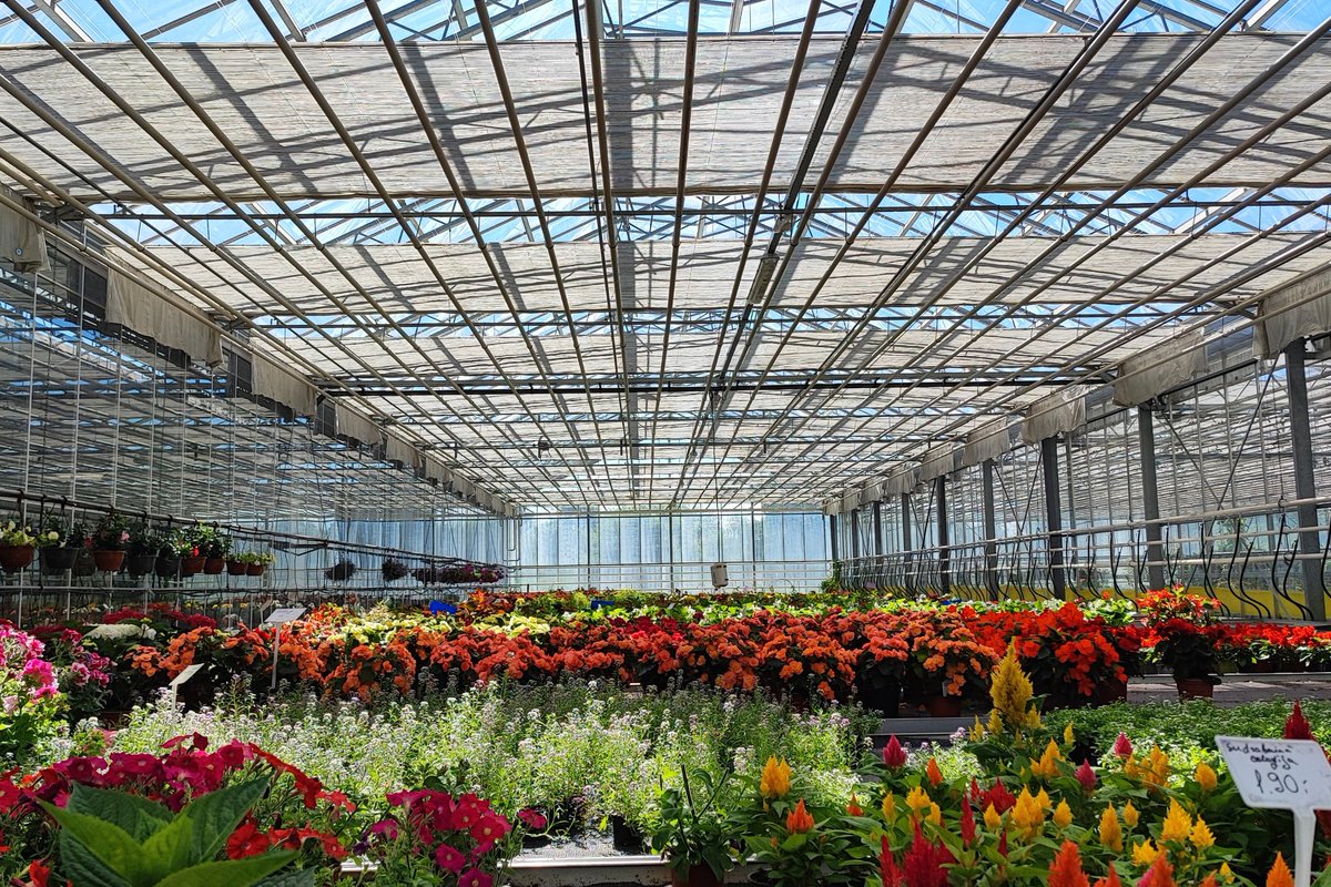 Manon_agri's tweet image. Day 2 of the @COPACOGECA WP on #Flowers &amp;amp; #OrnamentalPlants in 🇱🇻.
Visit of Bulduri Technical University where future horticulture technicians learn micropropagation of plant tissue cultures.
Students spend large part of their study time in labs and modern greenhouses ⬇️.