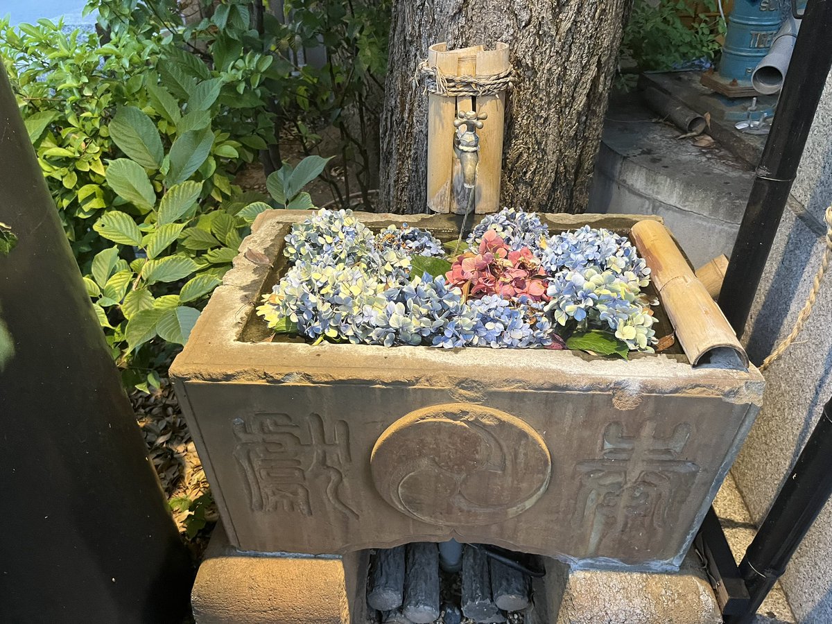 通勤途中の神社で茅の輪くぐってきました。 https://t.co/cuuuisTP63