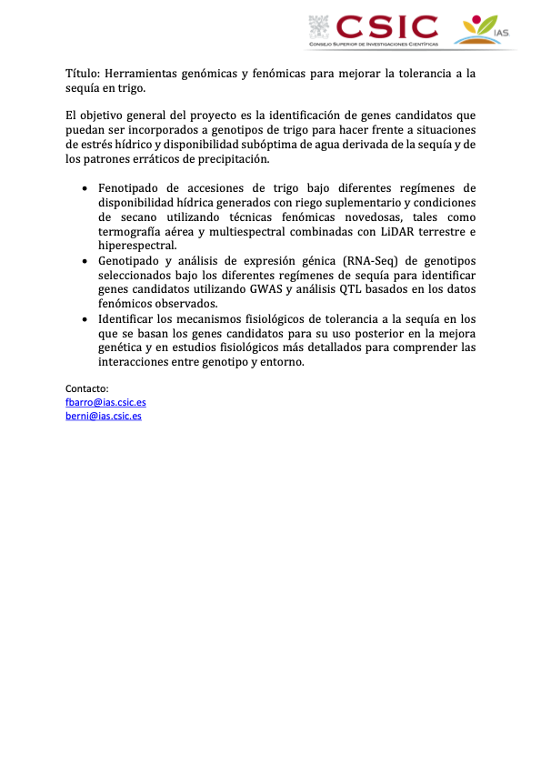 FBarrosLab's tweet photo. En el IAS-CSIC ofrecemos una beca predoctoral para la realización de una tesis doctoral conjunta entre los departamentos de Agronomía y Mejora Genética.

@DigitalAgriUCO @IAS_CSIC @AsBAn_ @COBAndalucia @ETSIAMCordoba https://t.co/O8AzKaljoh