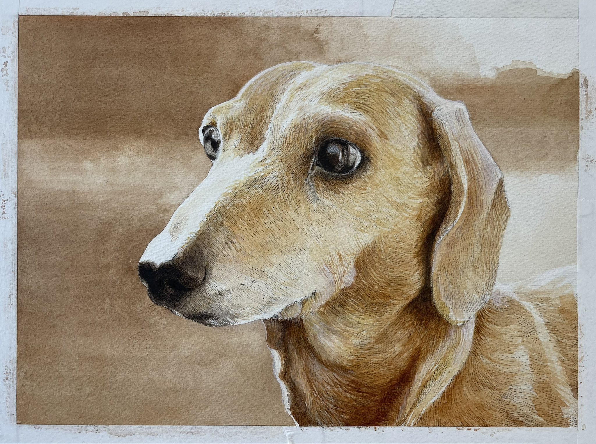 「ワンちゃん全員集合！」犬 絵画 油絵 油彩画 絵 動物 原画 Ｆ８号 ワンちゃん全員集合！」犬 絵画 油絵 油彩画 絵 動物 原画 F8号