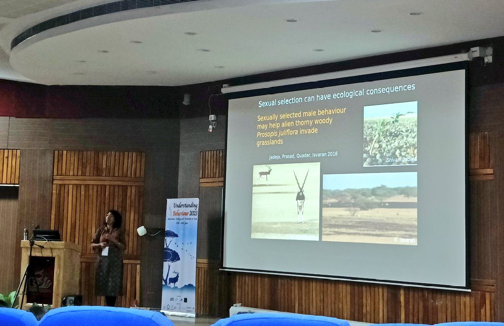 4nkan4's tweet photo. And very engaging last few days at #UB23 https://t.co/tqfgkL36Ab