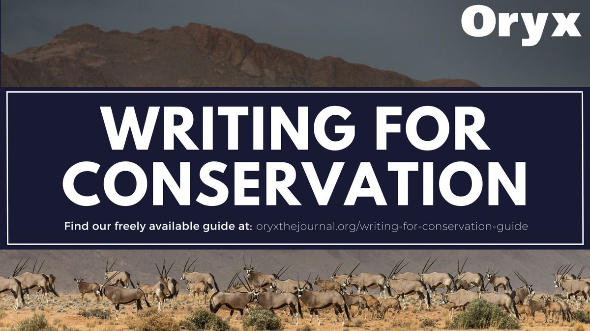 Whether you want to improve your writing, learn how to better present your data, manage your references more efficiently or promote your newly published paper, our freely available Writing For #Conservation guide will be of help! ✍️

Discover it here: oryxthejournal.org/writing-for-co…