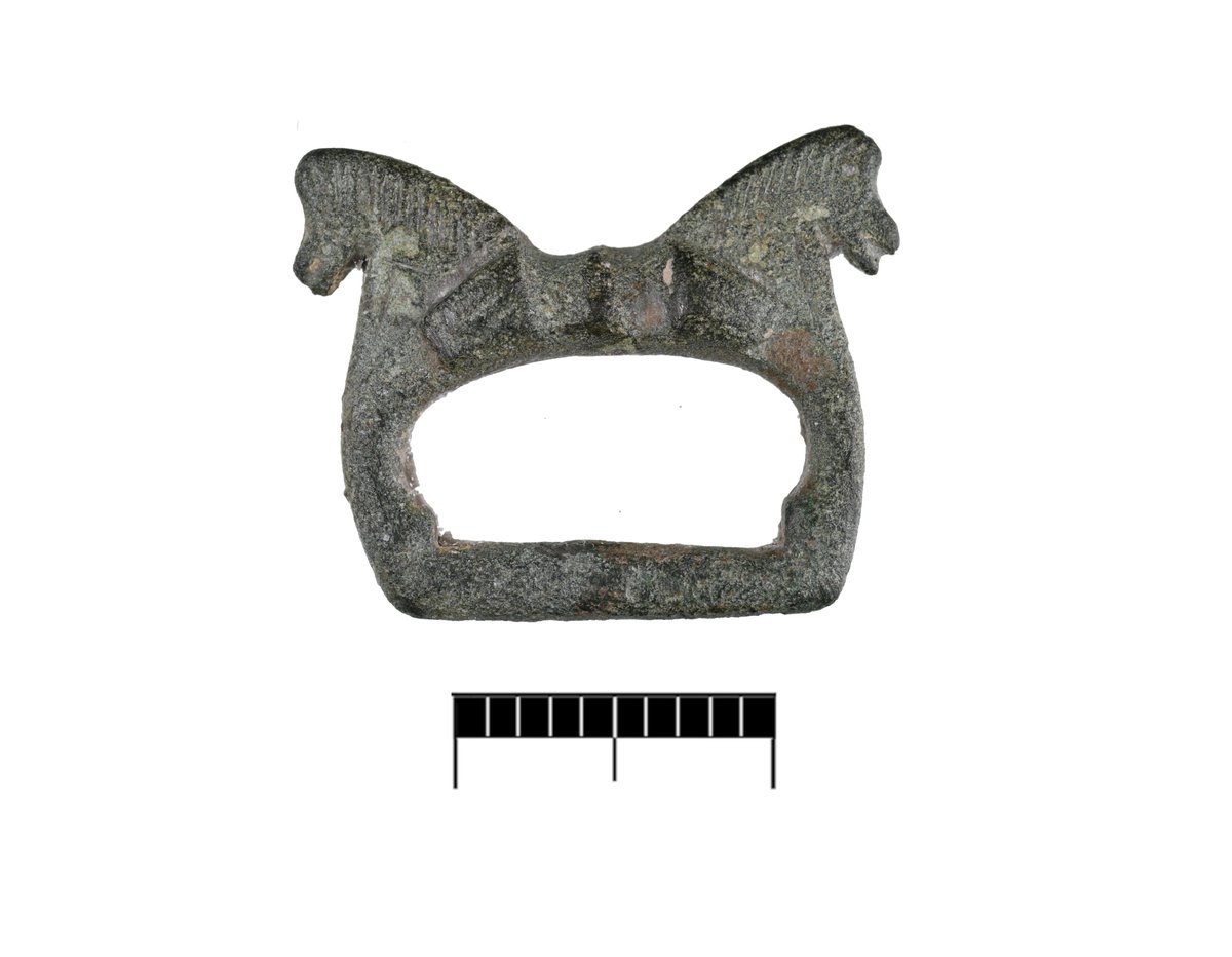 Fascinating military buckle blurring the boundary between the late Roman and early medieval periods (c.350-450)
Believe it or not, those are 'confronted' dolphin heads 🐬 below the detailed horses🐴on the front of the frame! #FindsFriday
finds.org.uk/database/artef…