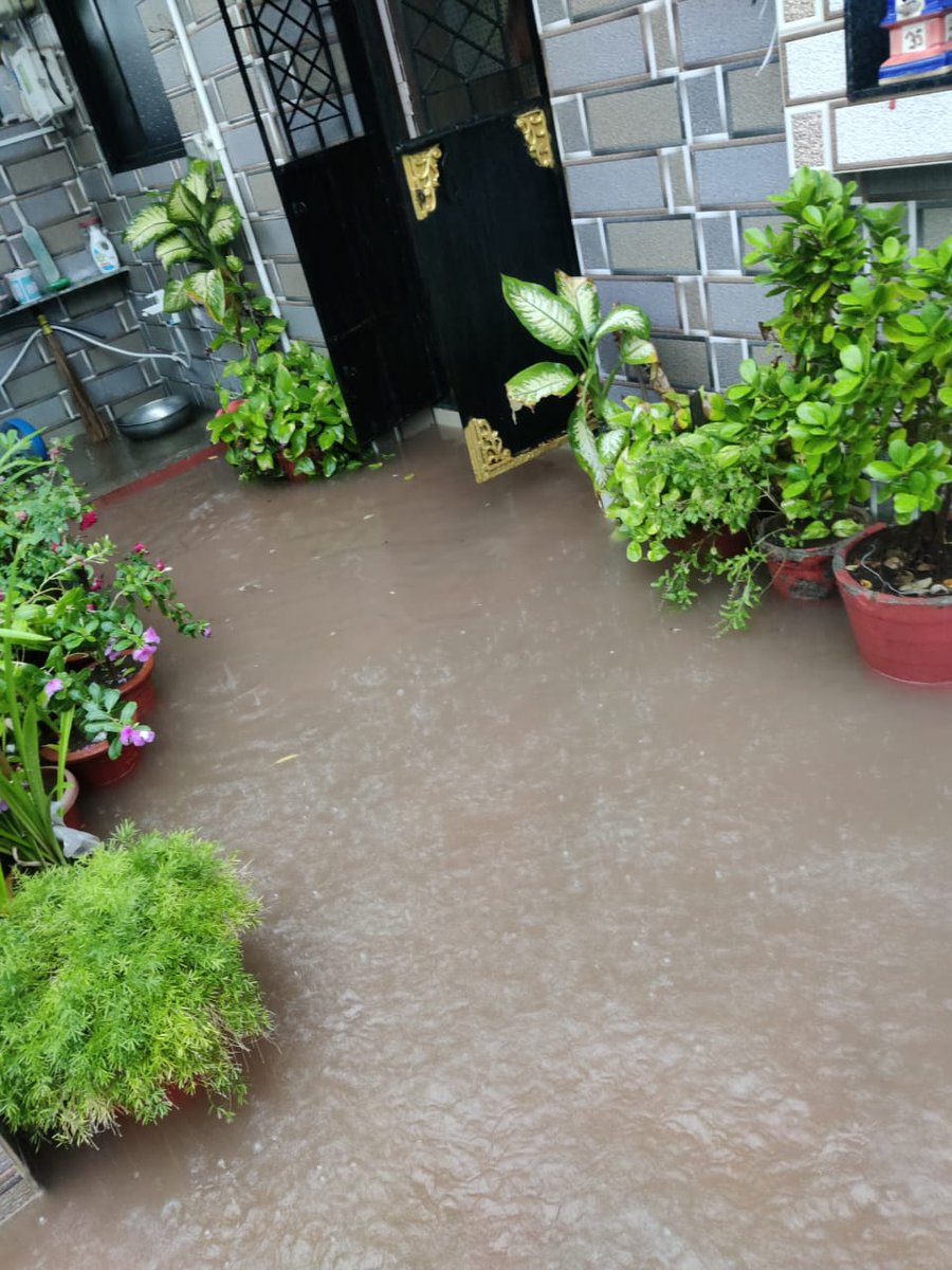 dr_biochemistry's tweet photo. This is the current situation in golden city (meghpar kumbhardi) because of heavy rain. Water already started coming in the houses. Please take some prompt action otherwise it will be very difficult for the people living in the area @PrantAnjar @KutchDdo @CollectorKutch @CMOGuj https://t.co/ioKEwuHdm7