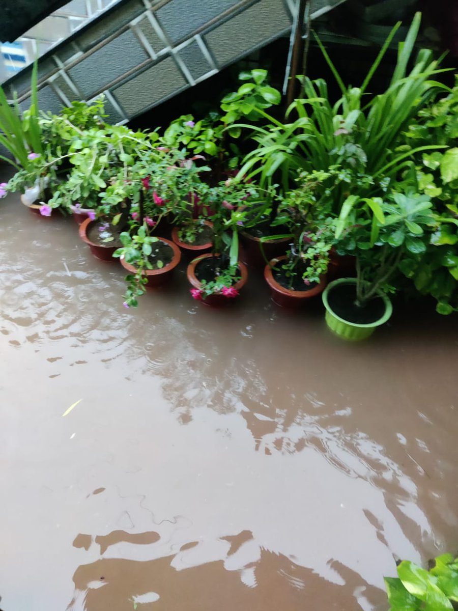 dr_biochemistry's tweet photo. This is the current situation in golden city (meghpar kumbhardi) because of heavy rain. Water already started coming in the houses. Please take some prompt action otherwise it will be very difficult for the people living in the area @PrantAnjar @KutchDdo @CollectorKutch @CMOGuj https://t.co/ioKEwuHdm7