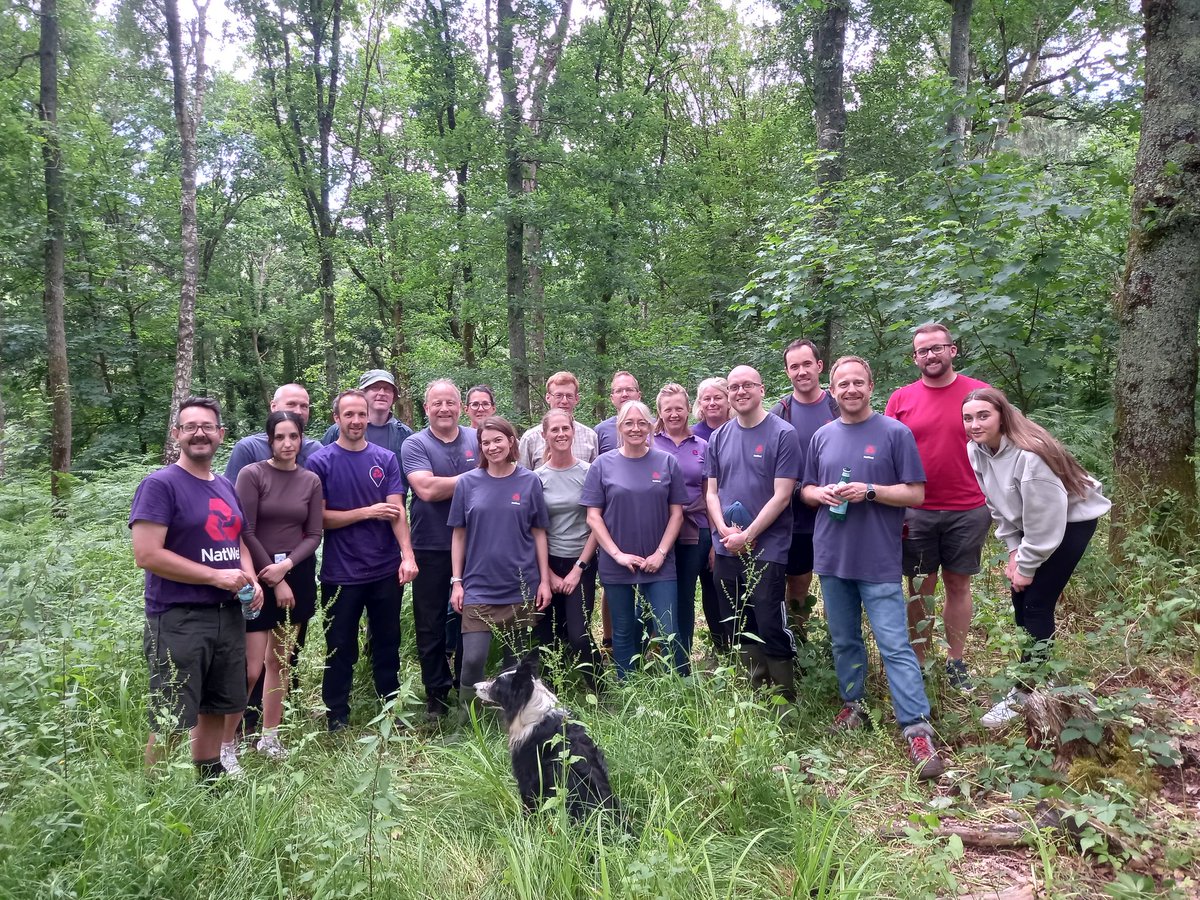 Thank you so much to the amazing  team from Natwest who came and pulled out a MOUNTAIN of invasive Himalayan Balsam from an area in Lords Wood last week. Great job. 😊👌 <a href="/TCVtweets/">The Conservation Volunteers (TCV)</a> <a href="/NatWestGroup/">NatWest Group</a>