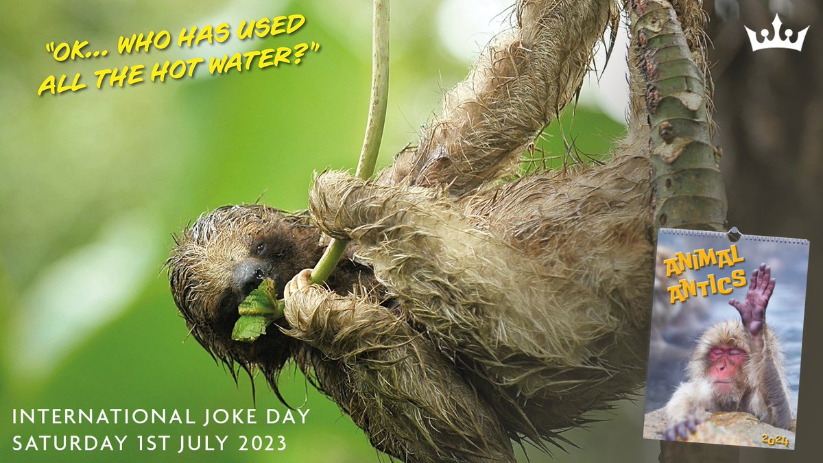 It's International Joke Day tomorrow, so we're not hanging around with our contribution ;) #internationaljokeday #businesgifts #promotionalcalendars