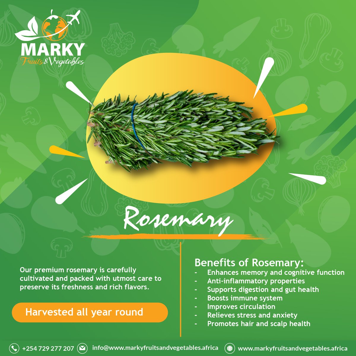 Discover the exceptional quality of our exported rosemary and elevate your global culinary experience. 🍽️💚

 #Rosemary #Exporters #CulinaryDelights #FreshFlavors #GlobalExperience'