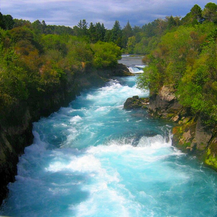 Travel Bugs World ✈️🐞🌎 tweet media