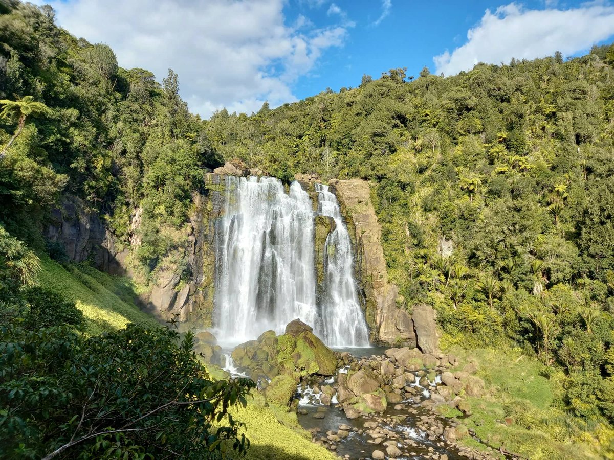 Travel Bugs World ✈️🐞🌎 tweet media