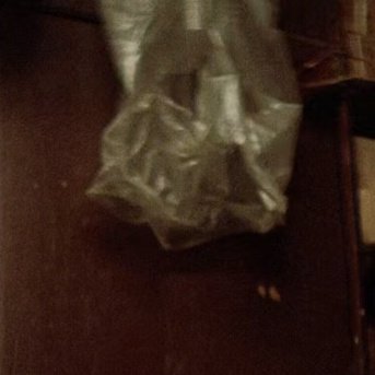 𝙠𝙖𝙚𝙨𝙝𝙞 𝘿𝙞𝙫𝙖 tweet media