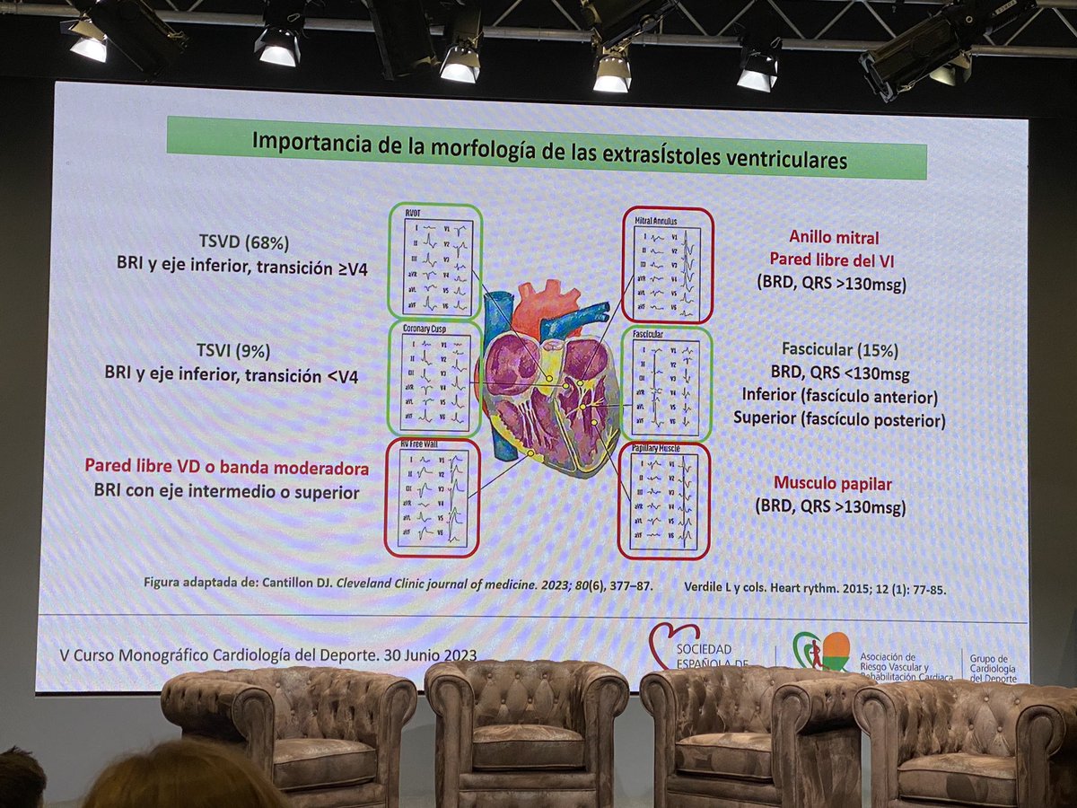 La importancia de analizar, no sólo la densidad de EV en deportistas (2000 en 24 horas como punto de corte) sino también la morfología <a href="/GTDeporSEC/">GT Cardio Deporte SEC</a>